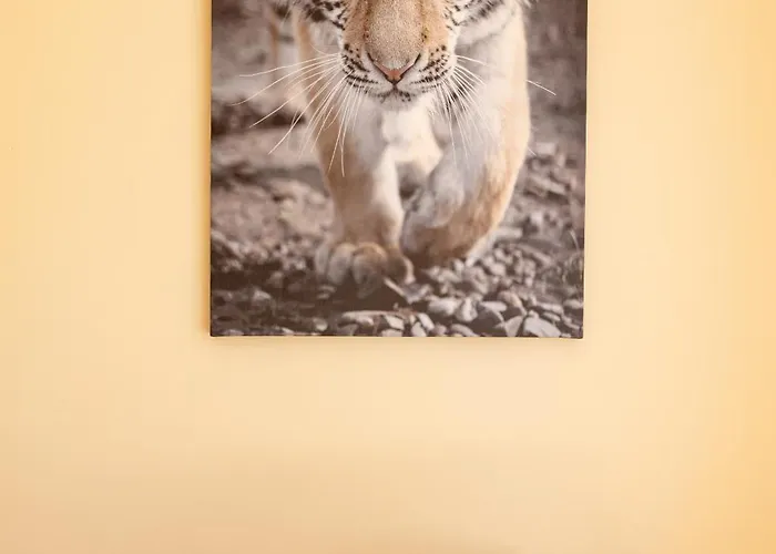 La D 'emma, 10-15 Pers Vila